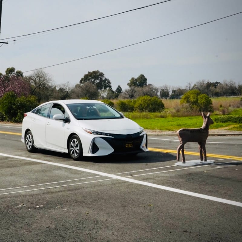 A Qibus-equipped car facing a deer test target during on-road obstacle testing